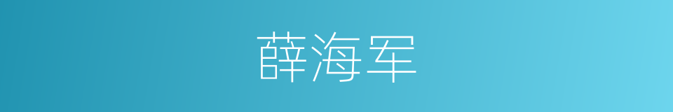 薛海军的意思