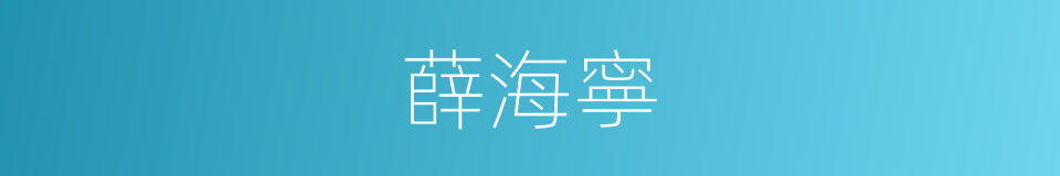 薛海寧的同義詞