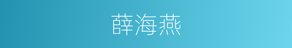 薛海燕的同义词