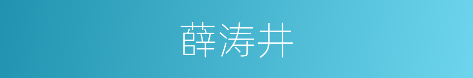 薛涛井的同义词