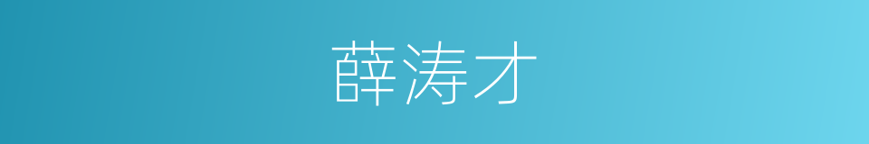 薛涛才的同义词