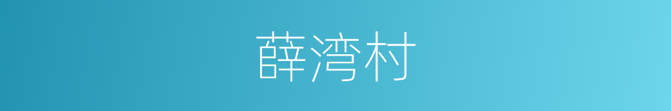 薛湾村的同义词