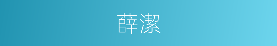 薛潔的同義詞