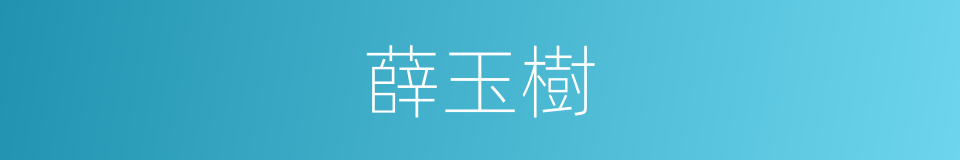 薛玉樹的同義詞