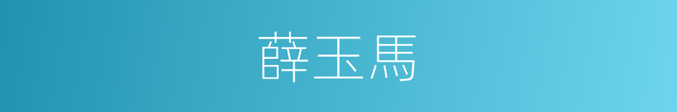 薛玉馬的同義詞