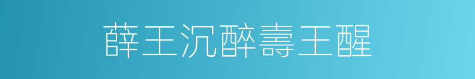 薛王沉醉壽王醒的同義詞