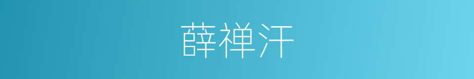 薛禅汗的同义词