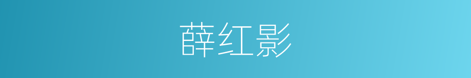 薛红影的同义词