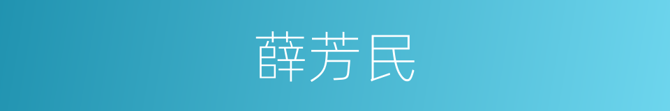 薛芳民的同义词