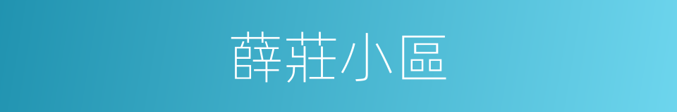 薛莊小區的同義詞