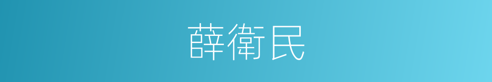 薛衛民的同義詞