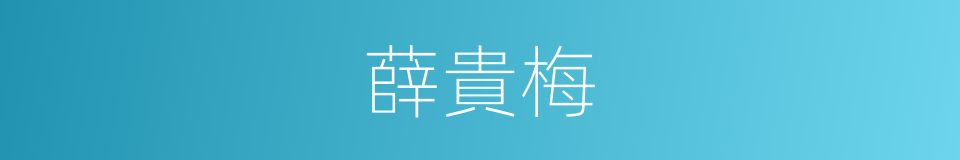 薛貴梅的同義詞