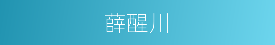 薛醒川的同义词