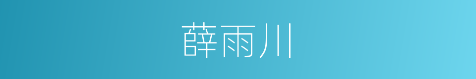 薛雨川的同义词