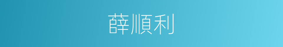 薛順利的同義詞