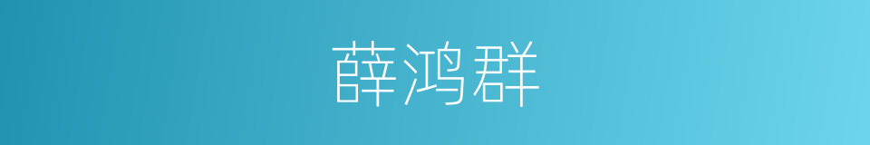 薛鸿群的同义词