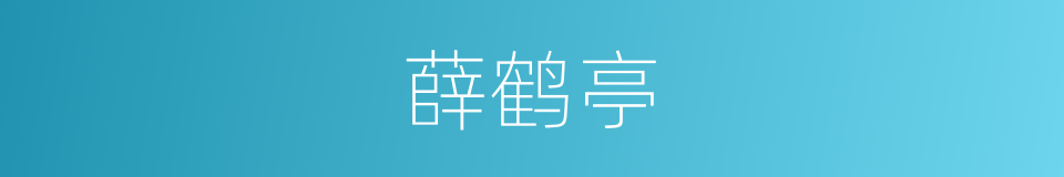 薛鹤亭的同义词