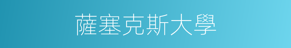 薩塞克斯大學的同義詞