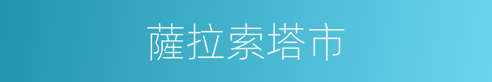 薩拉索塔市的同義詞