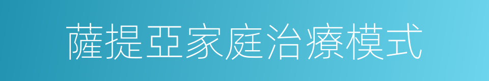 薩提亞家庭治療模式的同義詞