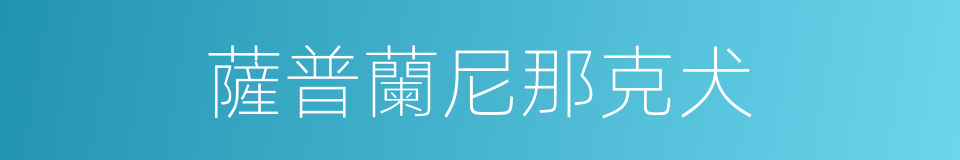 薩普蘭尼那克犬的同義詞