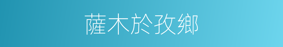 薩木於孜鄉的同義詞