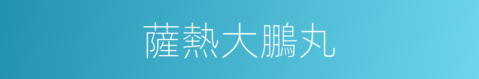 薩熱大鵬丸的同義詞