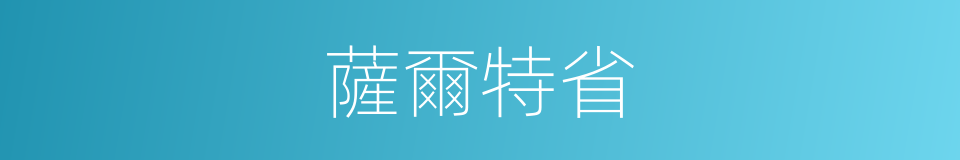 薩爾特省的同義詞