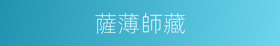 薩薄師藏的同義詞