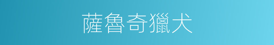 薩魯奇獵犬的同義詞