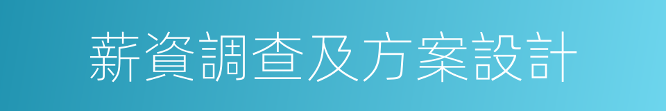 薪資調查及方案設計的同義詞