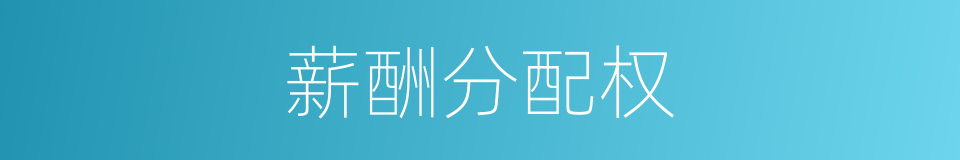 薪酬分配权的同义词