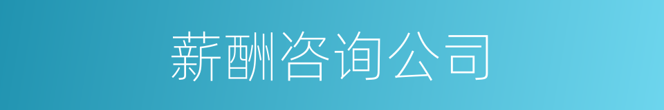 薪酬咨询公司的同义词