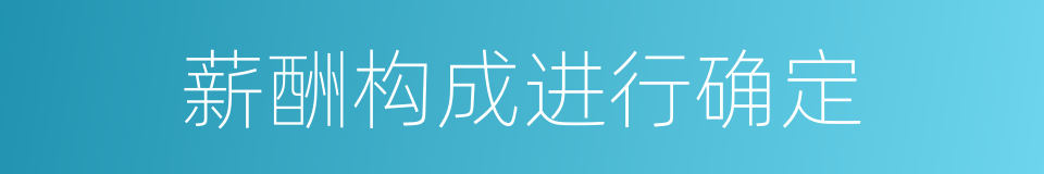 薪酬构成进行确定的同义词