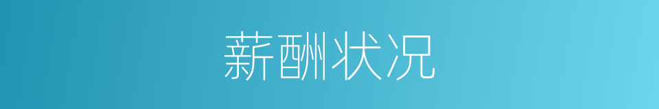 薪酬状况的同义词