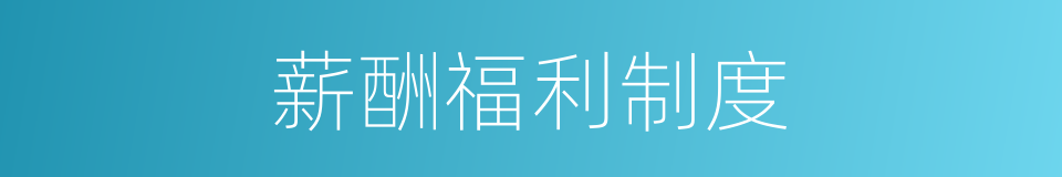 薪酬福利制度的同义词