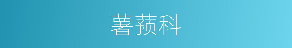 薯蓣科的同义词