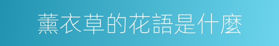 薰衣草的花語是什麼的同義詞