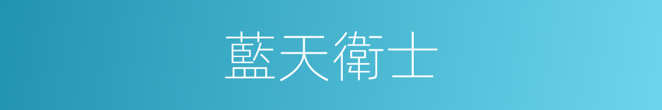 藍天衛士的同義詞