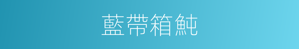 藍帶箱魨的同義詞