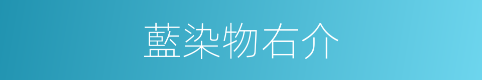 藍染物右介的同義詞