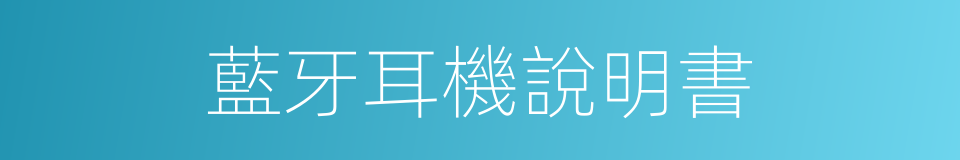 藍牙耳機說明書的同義詞