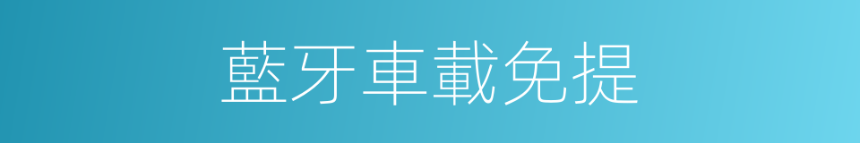 藍牙車載免提的同義詞