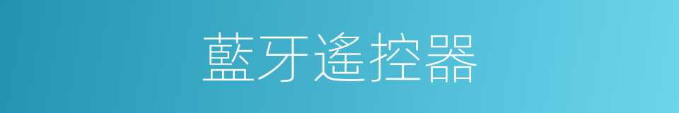 藍牙遙控器的同義詞