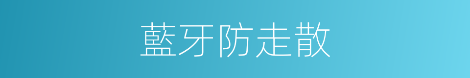 藍牙防走散的同義詞