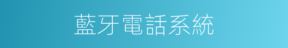 藍牙電話系統的同義詞