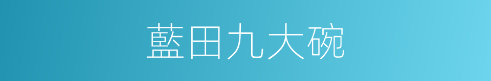 藍田九大碗的同義詞