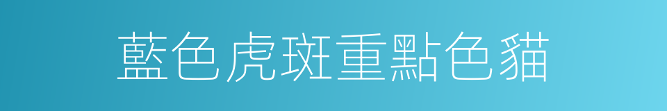 藍色虎斑重點色貓的同義詞