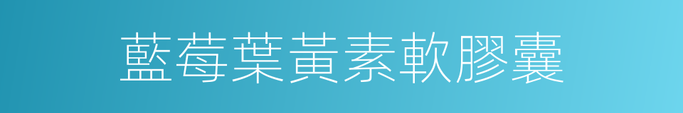 藍莓葉黃素軟膠囊的同義詞