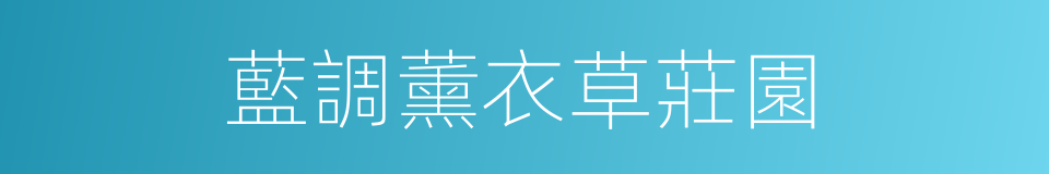 藍調薰衣草莊園的同義詞